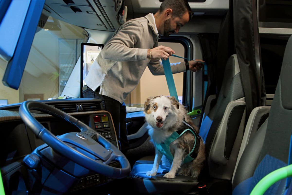 Image for Volvo Trucks lança cartilha para viagens seguras com animais de estimação